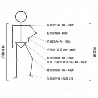 腰三角 構成|基本肢位・良肢位って何だ？ 解説するよ！